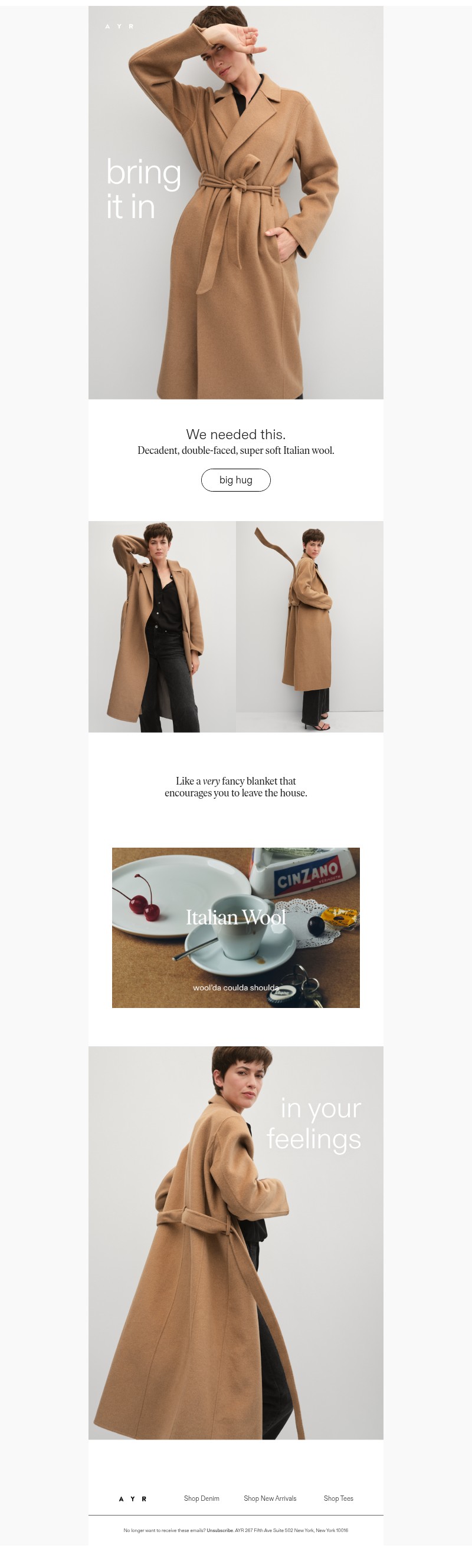 Screenshot of email with subject /media/emails/a0182281-42a5-475f-8126-50ff53dc2fb9.jpg