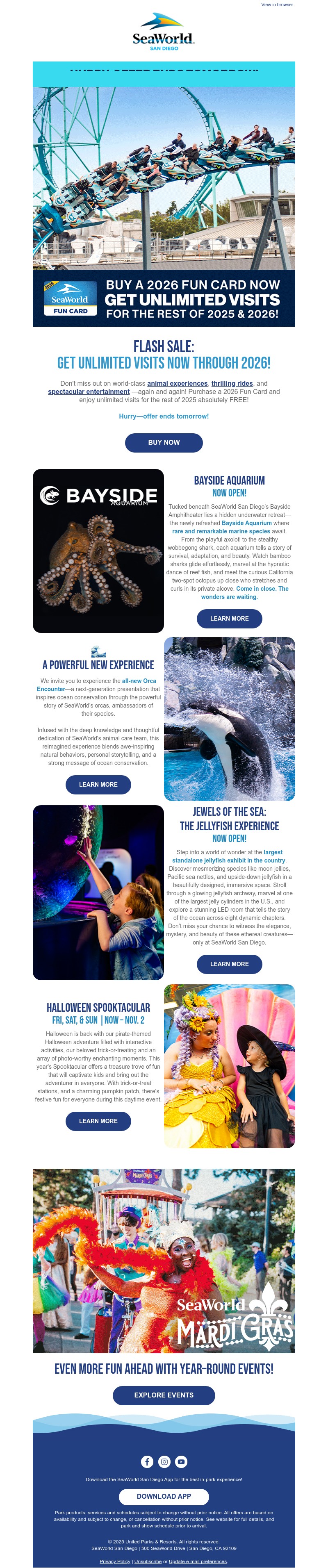 Screenshot of email with subject /media/emails/a05014b3-c5e5-4481-b123-571fdd86167a.jpg