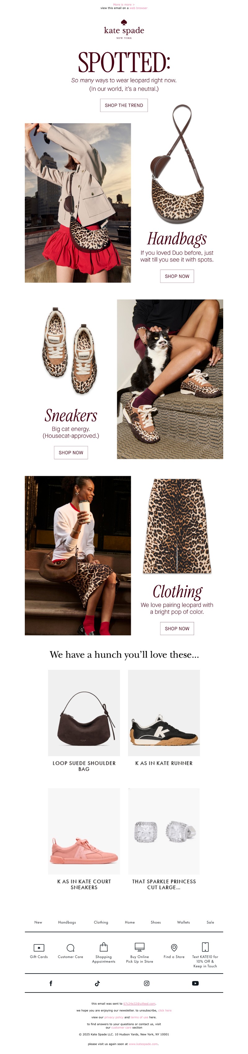 Screenshot of email with subject /media/emails/a085ec07-c4cc-4665-a201-4cdb0c4f38ee.jpg
