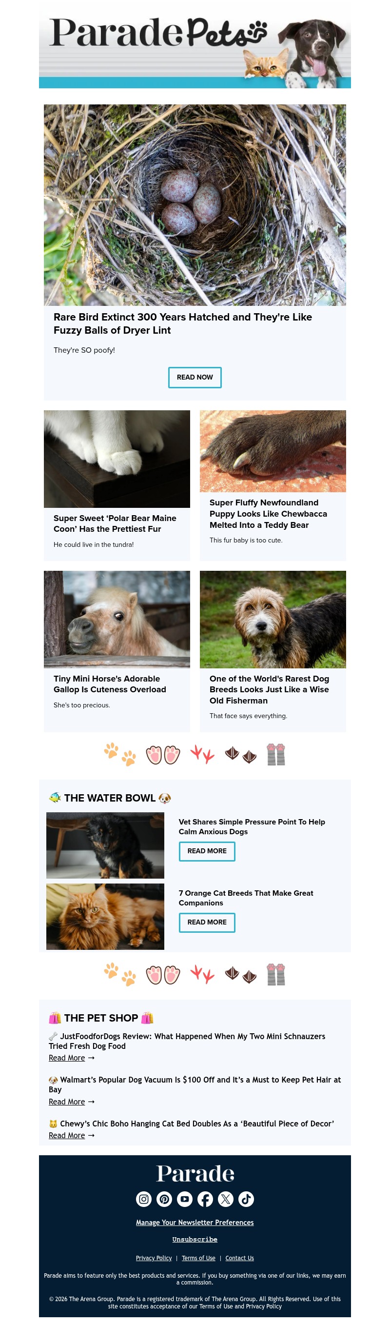 Screenshot of email with subject /media/emails/a0986733-d964-4119-af22-c8d6a96630bb.jpg