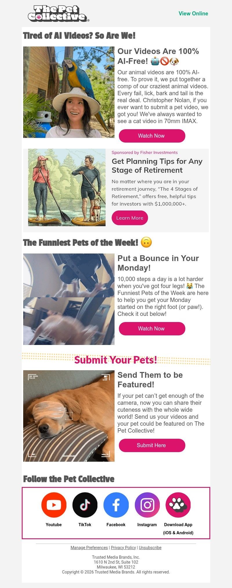 Screenshot of email with subject /media/emails/a09ee772-83f0-4b50-88f3-5f5db53a026e.jpg