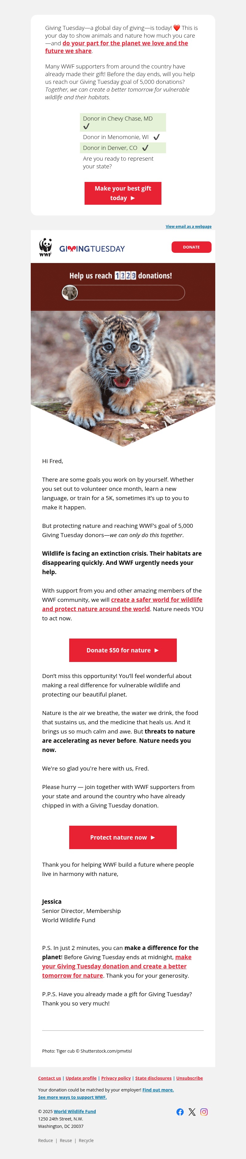 Screenshot of email with subject /media/emails/a1b6f880-eb48-4e02-a466-d4dd984d9549.jpg