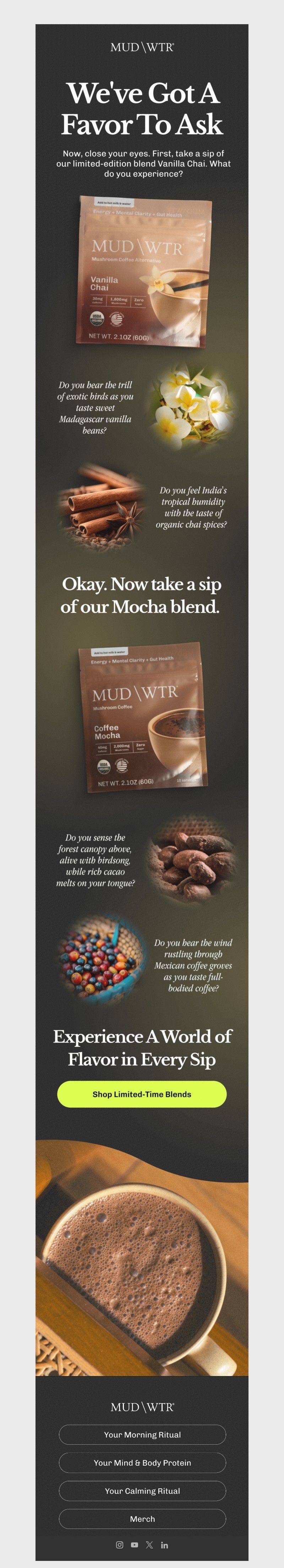 Screenshot of email with subject /media/emails/a3075bd5-e139-4a87-8a53-a54895eeefc6.jpg