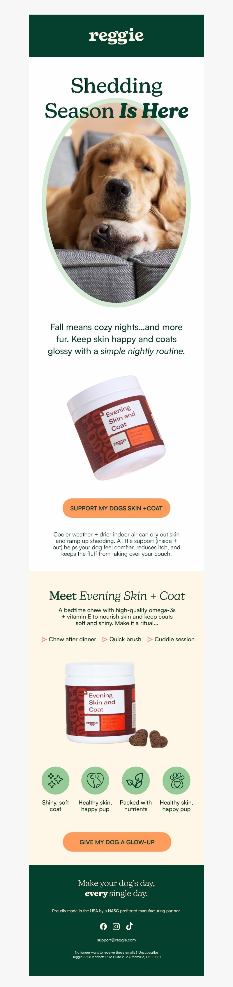 Screenshot of email with subject /media/emails/a39e2a47-c420-4c9e-b755-71507853dd97.jpg