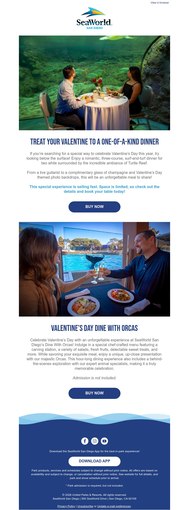 Screenshot of email with subject /media/emails/a3d0b4cc-a175-457b-a261-b40dec9c5325.jpg