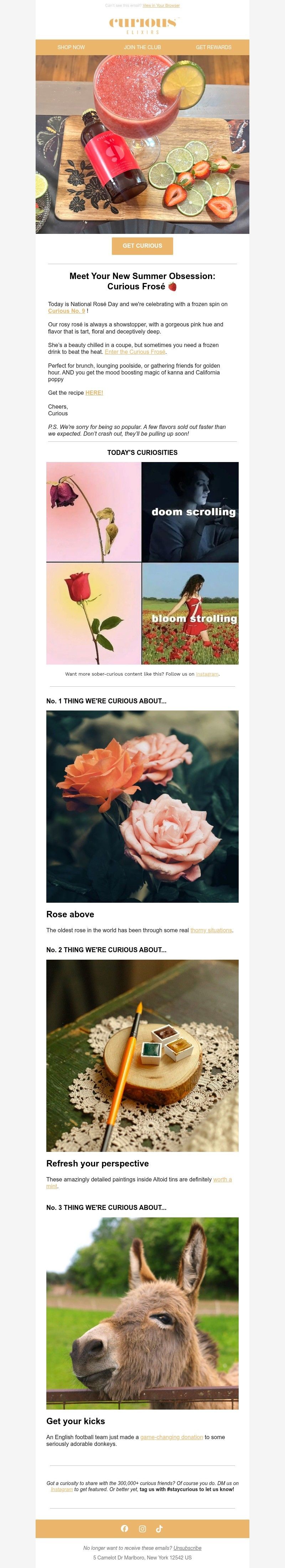 Screenshot of email with subject /media/emails/a3f12885-7328-4f1c-8190-764df01bff23.jpg