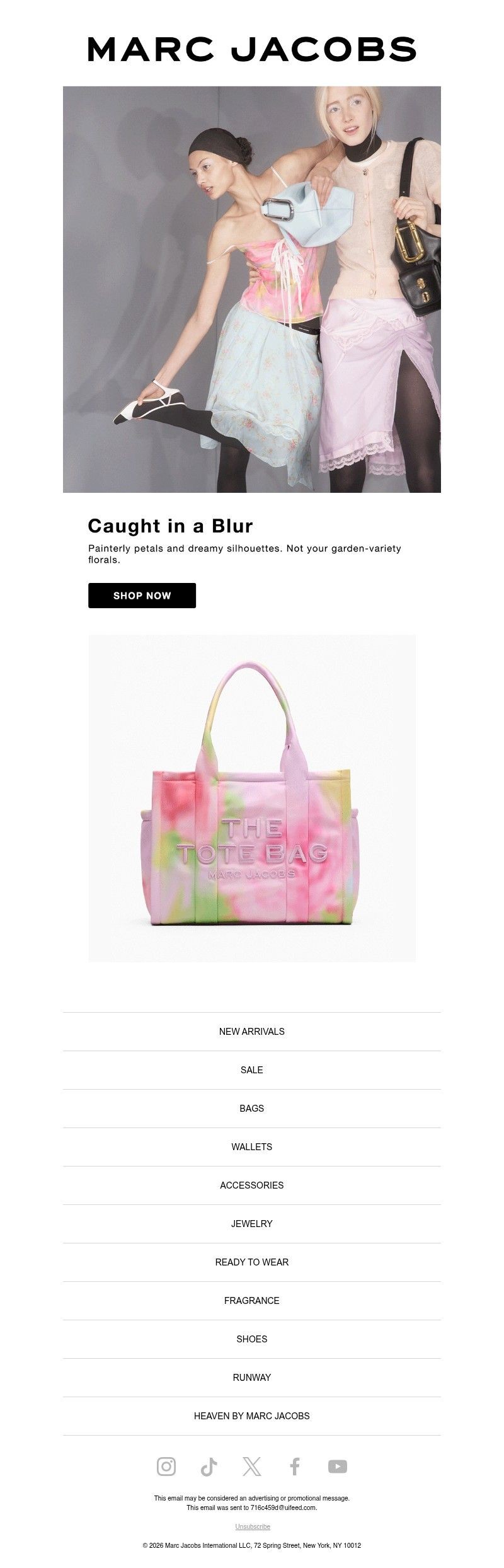 Screenshot of email with subject /media/emails/a447320c-6d05-4c81-96a7-8e3b48731e55.jpg