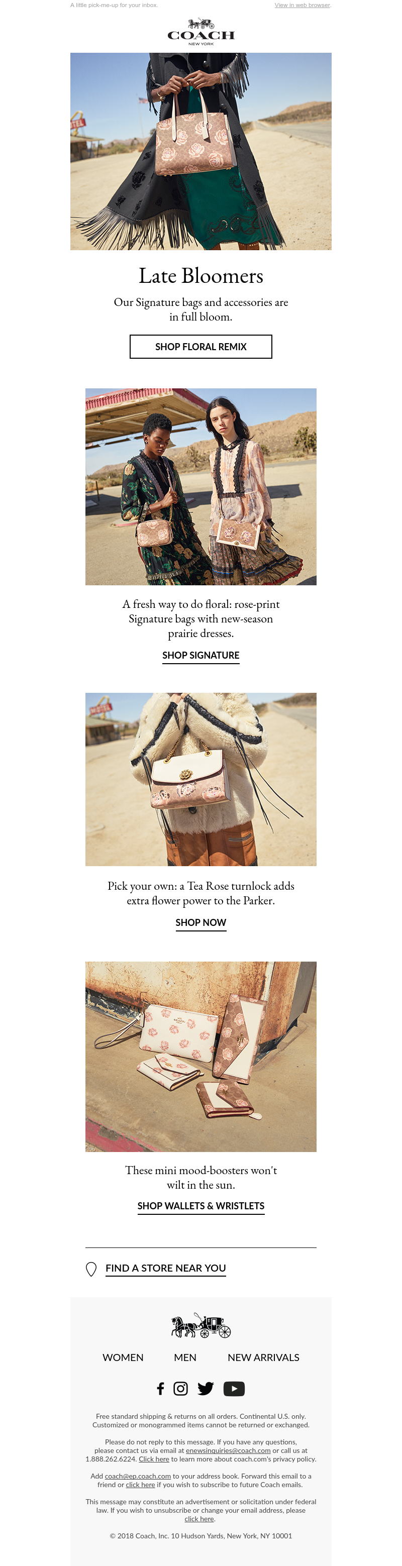 Screenshot of email with subject /media/emails/a4cbc03f-2770-4fb6-a3a6-fd17123d27a2.png