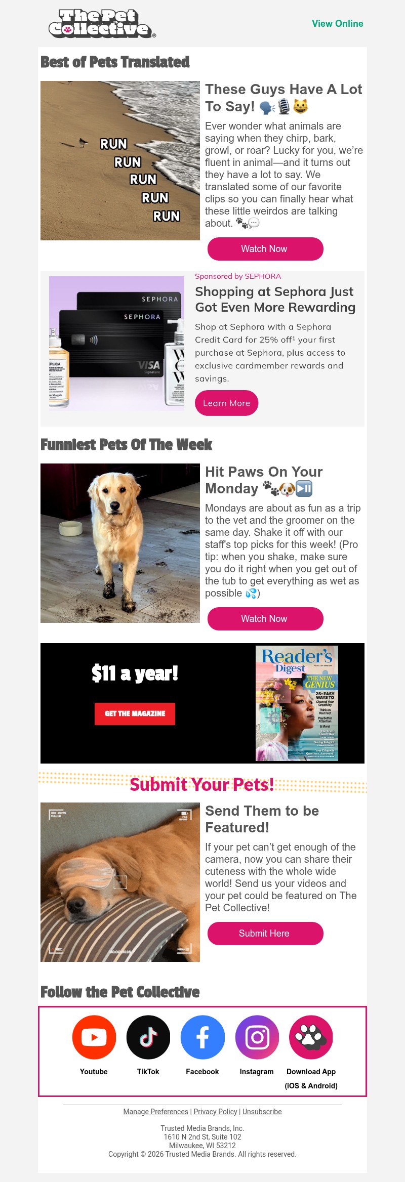 Screenshot of email with subject /media/emails/a56d052e-4cce-4b4f-be4a-6cca02eec41b.jpg