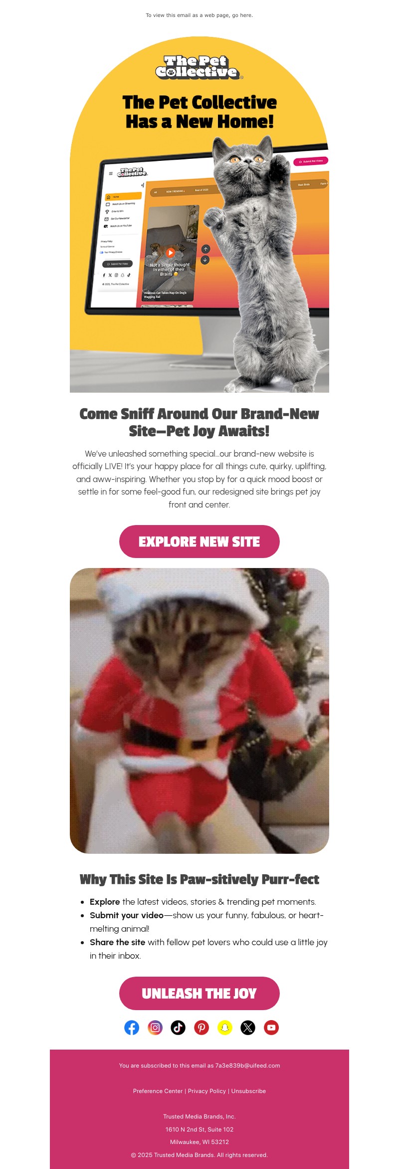 Screenshot of email with subject /media/emails/a59c62b2-6e24-4506-a120-36276ec535b0.jpg