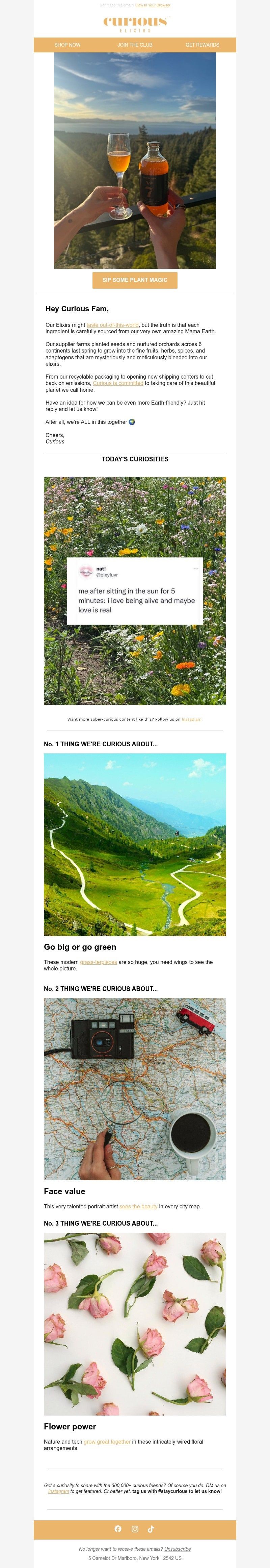 Screenshot of email with subject /media/emails/a5db3f94-5702-4905-acec-ca06c487eb19.jpg