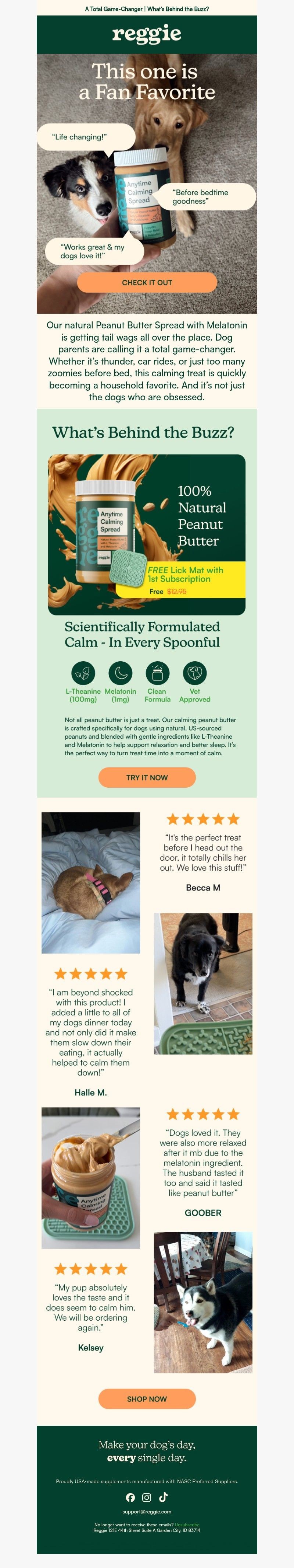 Screenshot of email with subject /media/emails/a68fab2b-1585-479a-b558-e13bda2cb942.jpg