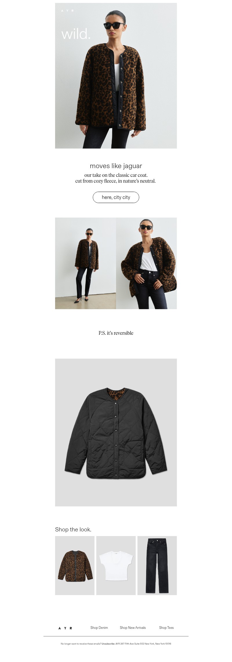 Screenshot of email with subject /media/emails/a73656a9-84e0-44ef-ae55-d9f1dcc2d6df.jpg