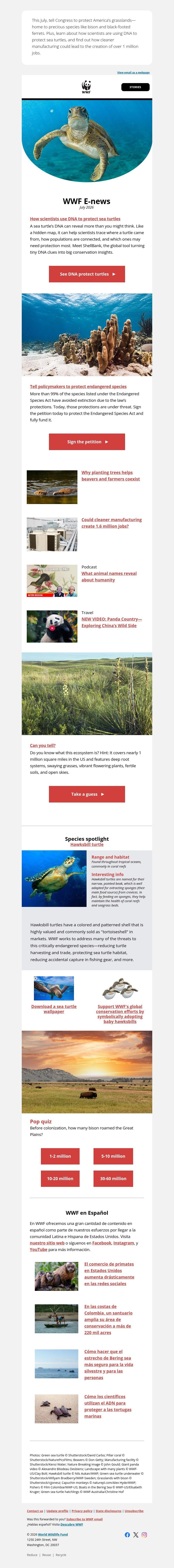 Screenshot of email with subject /media/emails/a7d40614-ae2a-47c0-be1d-0b5675e04dff.jpg