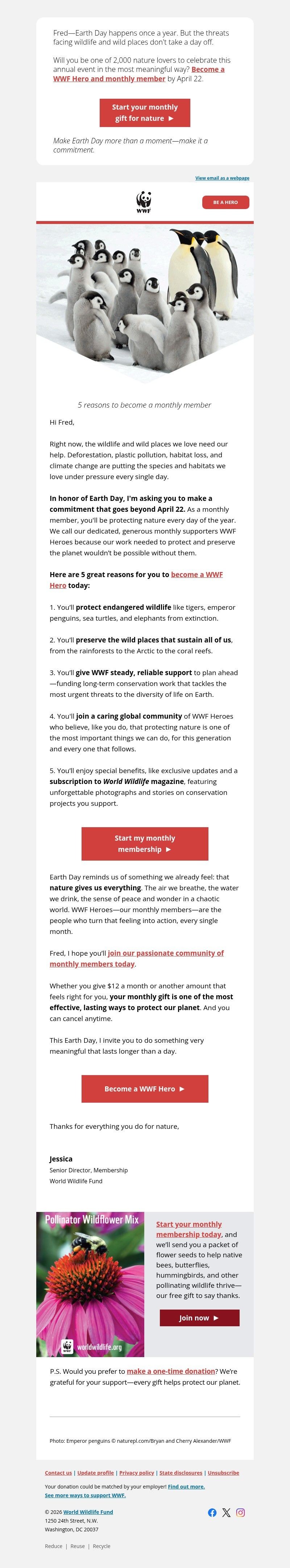 Screenshot of email with subject /media/emails/a8421fd4-7a8e-4d0b-8b31-a7646b0fabfa.jpg