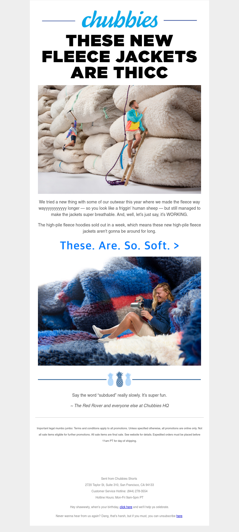 Screenshot of email with subject /media/emails/a84762b7-e581-4982-82b0-288425a1ca95.png
