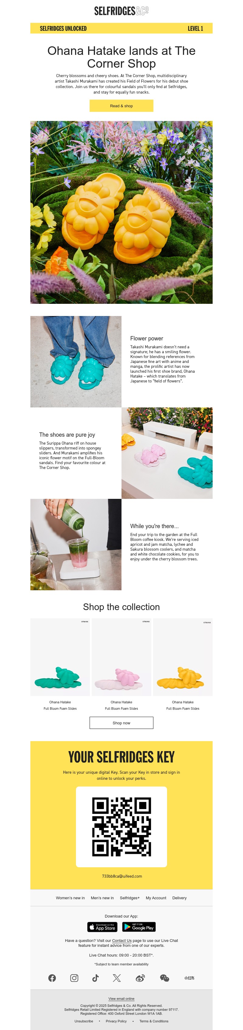 Screenshot of email with subject /media/emails/a8559c18-292f-4486-8994-84a36cd155b2.jpg