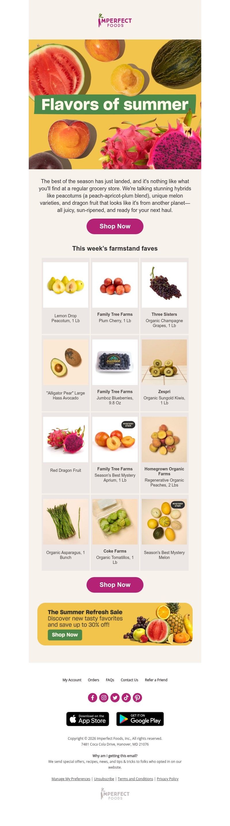 Screenshot of email with subject /media/emails/a8c37905-4676-4ea5-bd30-67eba8a0af64.jpg