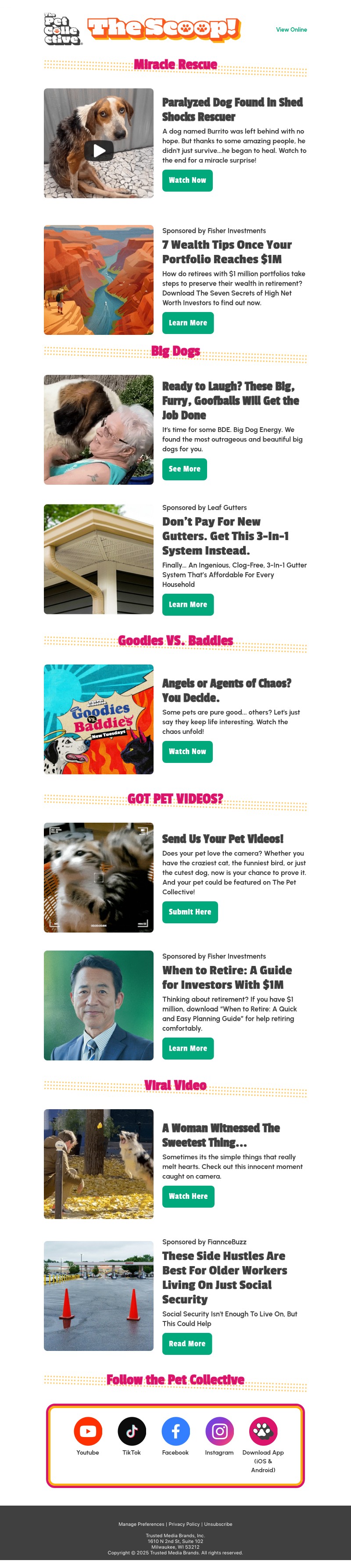 Screenshot of email with subject /media/emails/a8d48c5d-4793-449e-b382-09e5b863ca1d.jpg