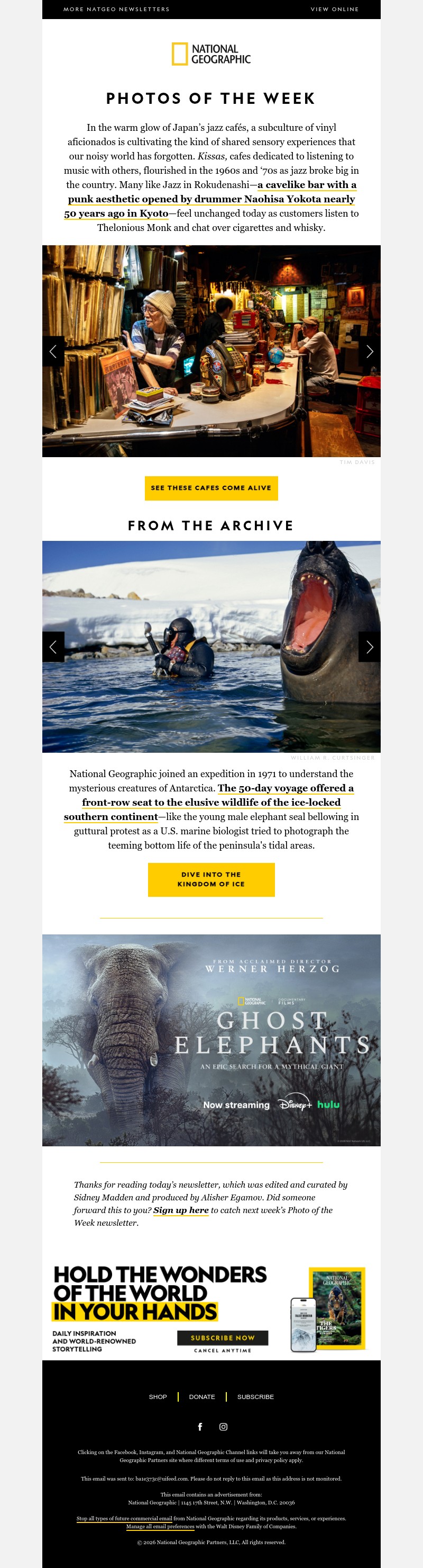 Screenshot of email with subject /media/emails/a8d53d56-2b67-4d36-a59a-38d6f7e60712.jpg