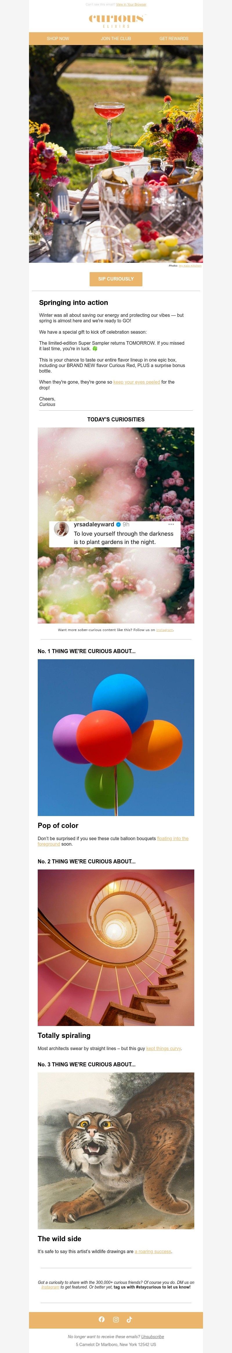 Screenshot of email with subject /media/emails/a93a4df6-c9f4-416b-a9a7-e5fdbb139111.jpg