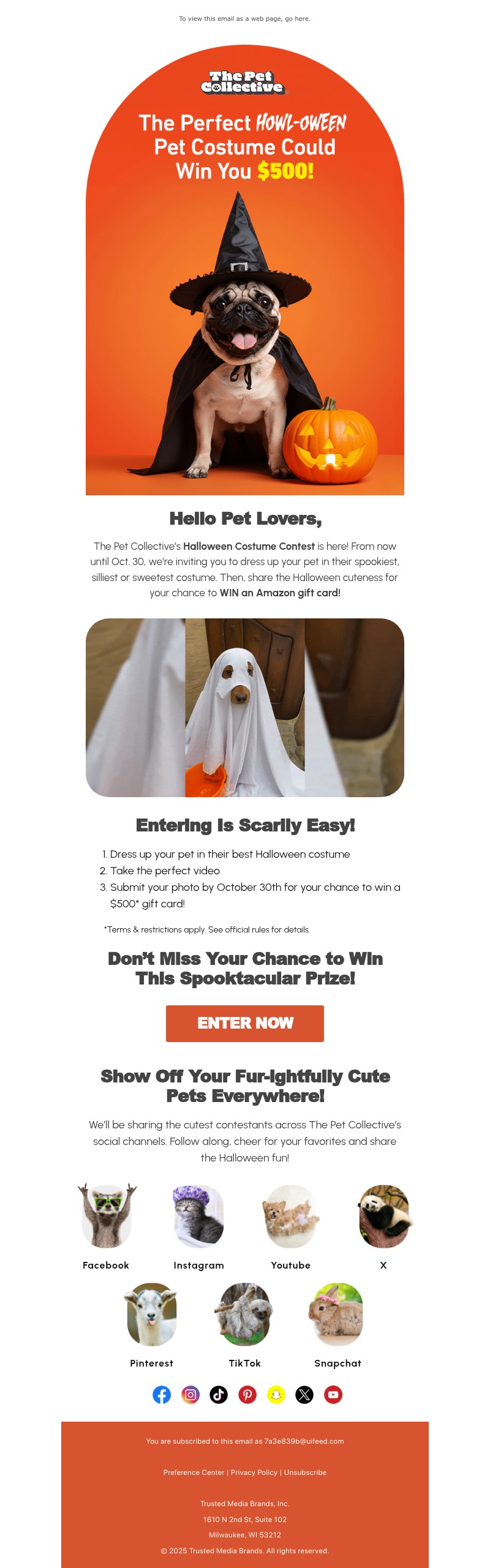 Screenshot of email with subject /media/emails/a986c2ba-a6ea-4e3d-8ef4-12f1894c642f.jpg