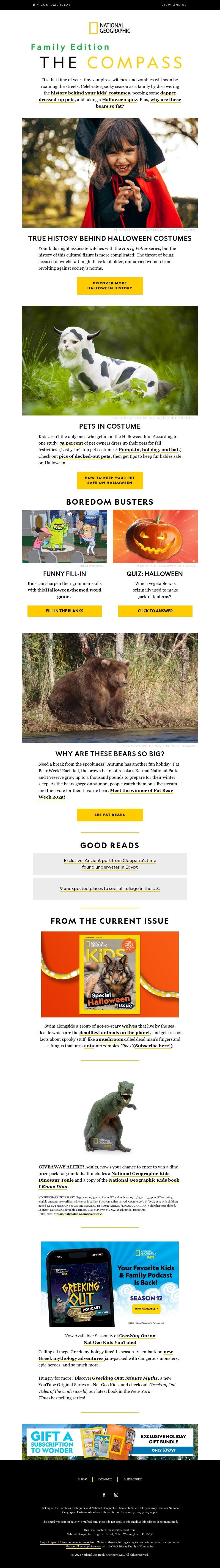 Screenshot of email with subject /media/emails/a9fdc94f-25e3-4075-92b1-63861a29c958.jpg