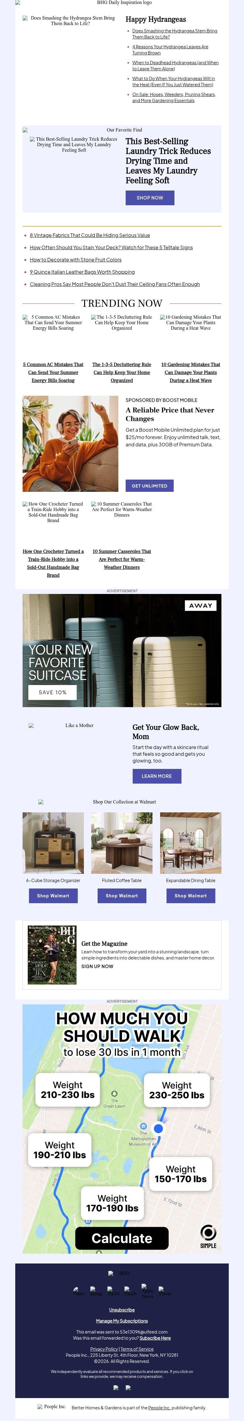 Screenshot of email with subject /media/emails/aa359a72-1e4c-42f4-aaa1-3850d10c3efb.jpg