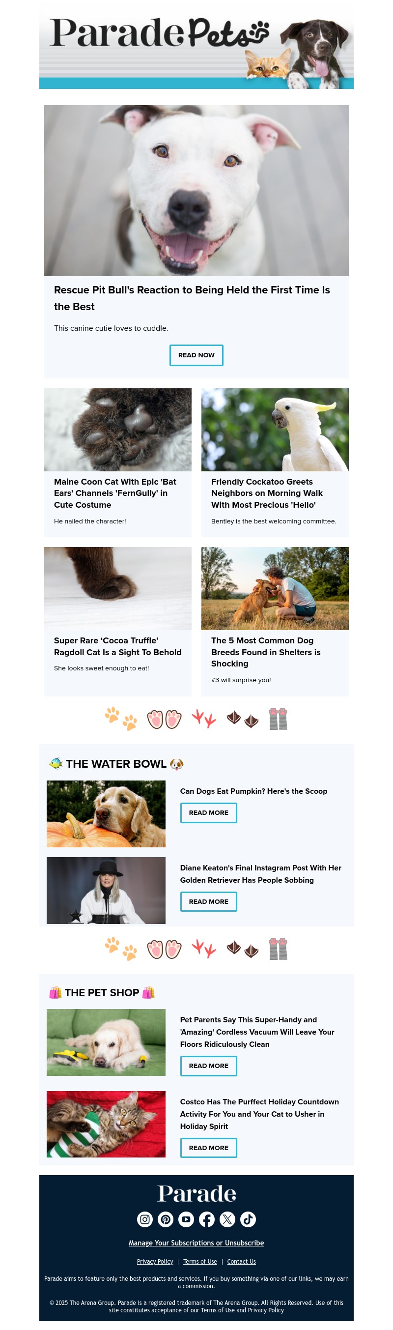 Screenshot of email with subject /media/emails/aa407408-3b7f-4285-bea4-b3cad8f83769.jpg