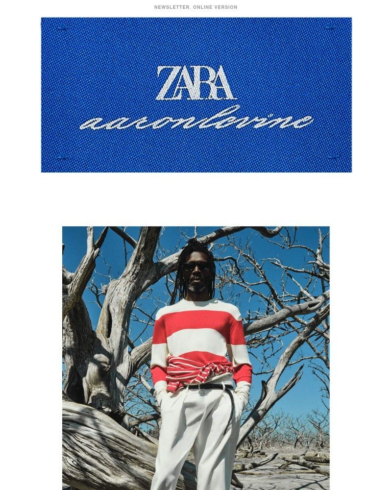 Screenshot of email sent to a Zara Registered user