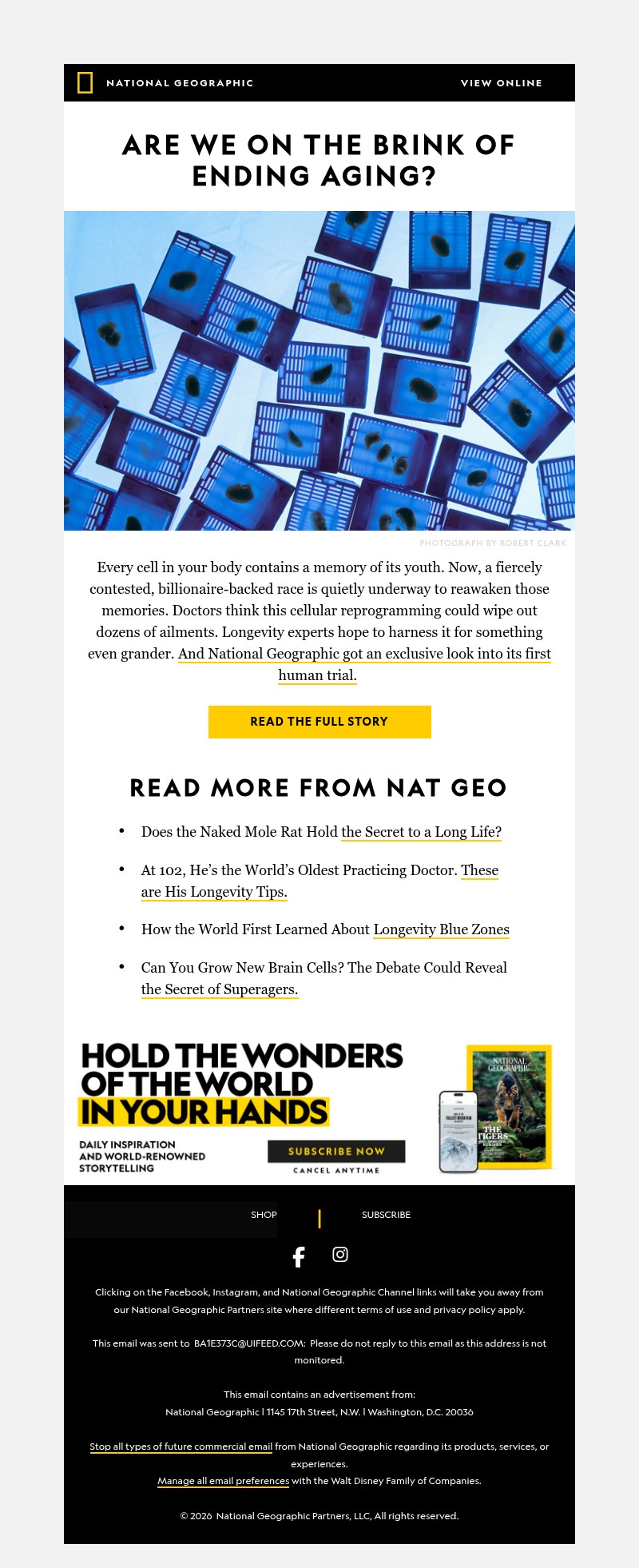 Screenshot of email with subject /media/emails/ab01f1ba-2d06-4bad-a6b0-8ee2eaac6167.jpg