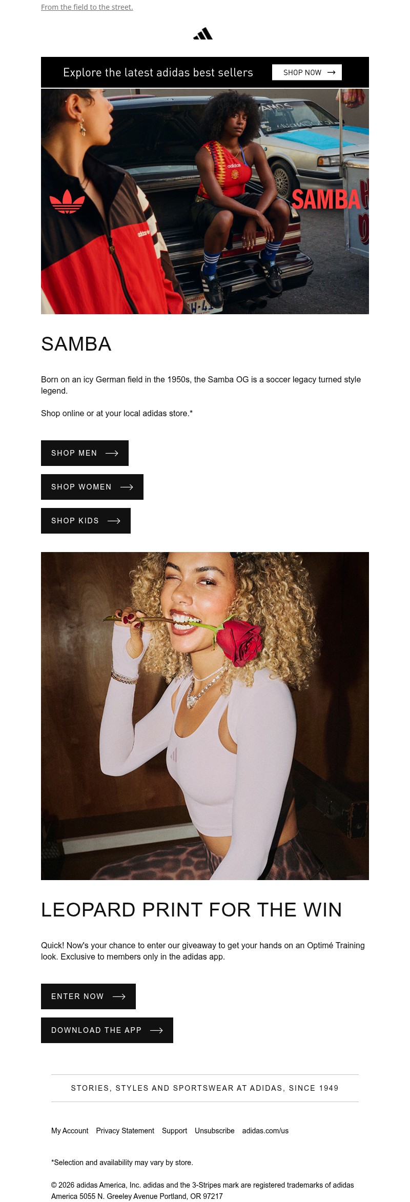 Screenshot of email with subject /media/emails/ab53d19a-9138-4afb-86c4-7540fd3ff3d8.jpg