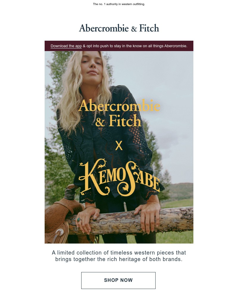 Screenshot of email with subject /media/emails/abercrombie-fitch-x-kemo-sabe-174168-cropped-4e107393.jpg