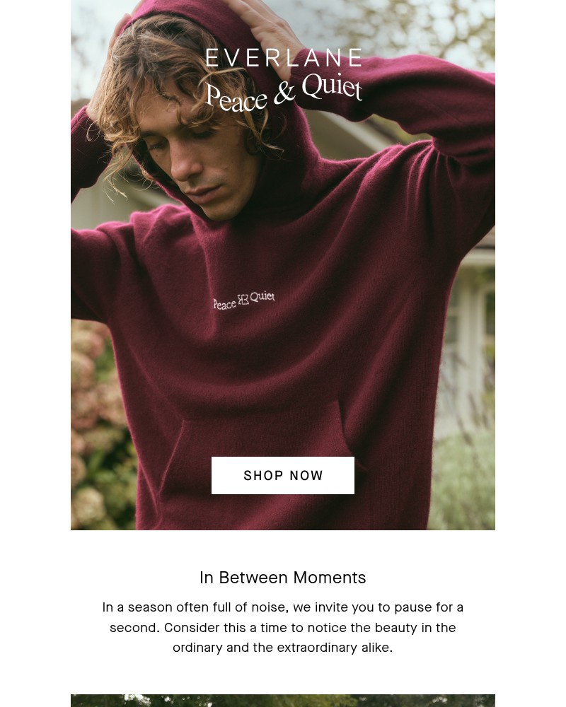 Screenshot of email with subject /media/emails/about-the-everlane-x-peace-quiet-collection-3a7c22-cropped-05ad78a2.jpg