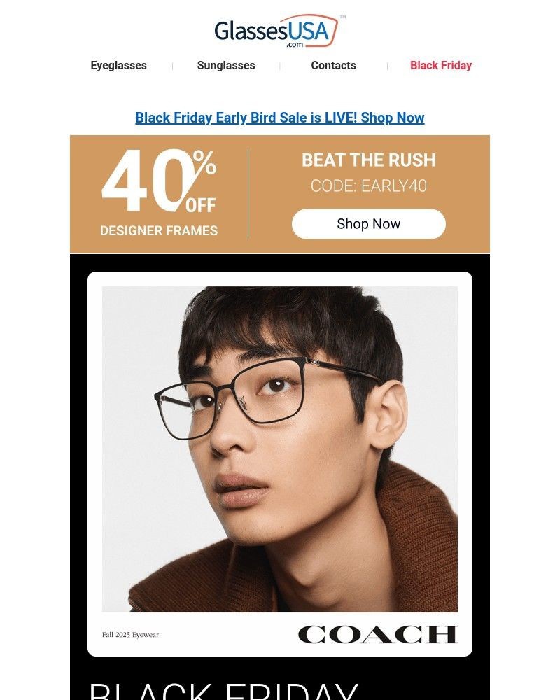 Screenshot of email with subject /media/emails/access-granted-early-bird-black-friday-designer-sale-b1322c-cropped-3b96e794.jpg