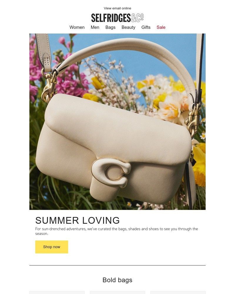 Screenshot of email with subject /media/emails/accessories-all-areas-e72fbf-cropped-a46edcb7.jpg