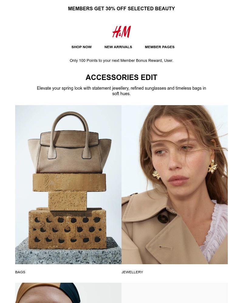 Screenshot of email with subject /media/emails/accessories-edit-44ef76-cropped-330ae800.jpg