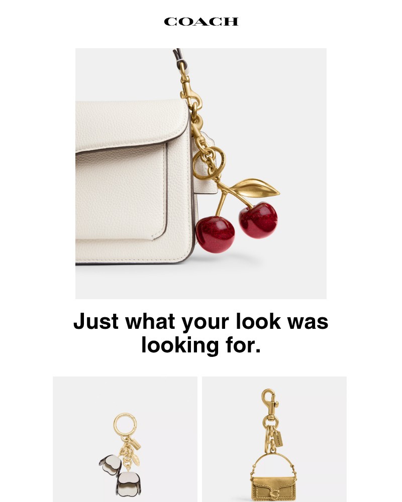 Screenshot of email with subject /media/emails/accessories-to-complete-your-look-0b9fe0-cropped-54edaa0c.jpg