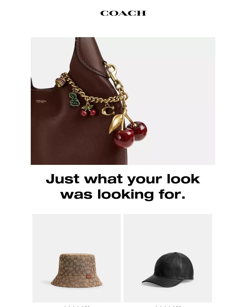 Screenshot of email with subject /media/emails/accessories-to-complete-your-look-45c3bd-cropped-b513cadf.jpg