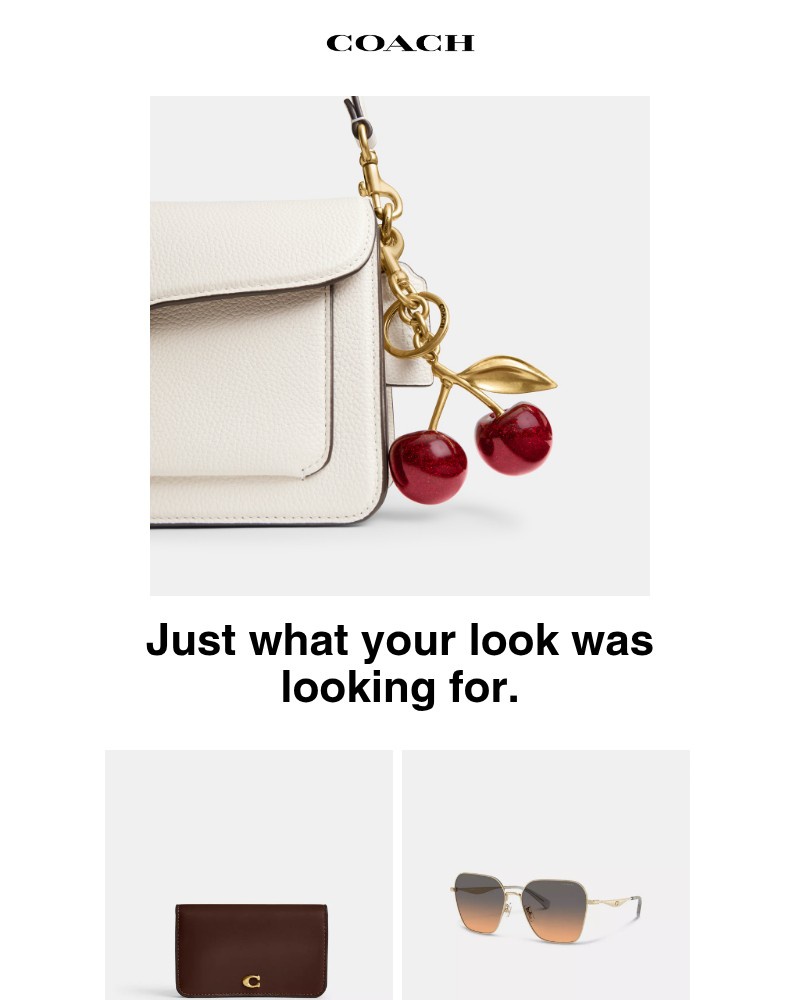 Screenshot of email with subject /media/emails/accessories-to-complete-your-look-75a5c9-cropped-6a7eba4c.jpg