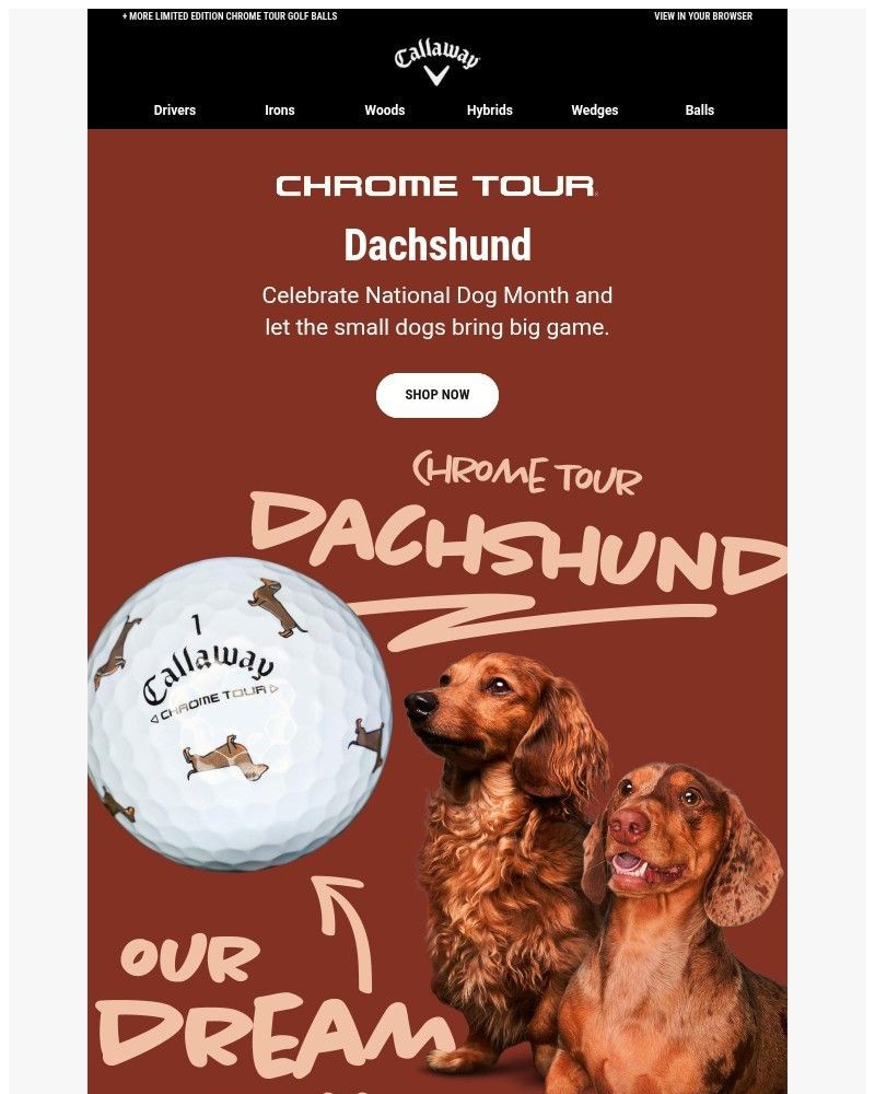 Screenshot of email with subject /media/emails/ace-gus-dream-ball-shop-chrome-tour-dachshund-905483-cropped-ed2fbabc.jpg