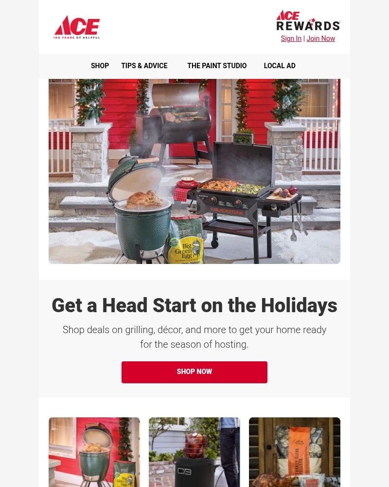 Screenshot of email with subject /media/emails/ace-is-the-place-for-all-things-holiday-a63cfa-cropped-0b6faf49.jpg
