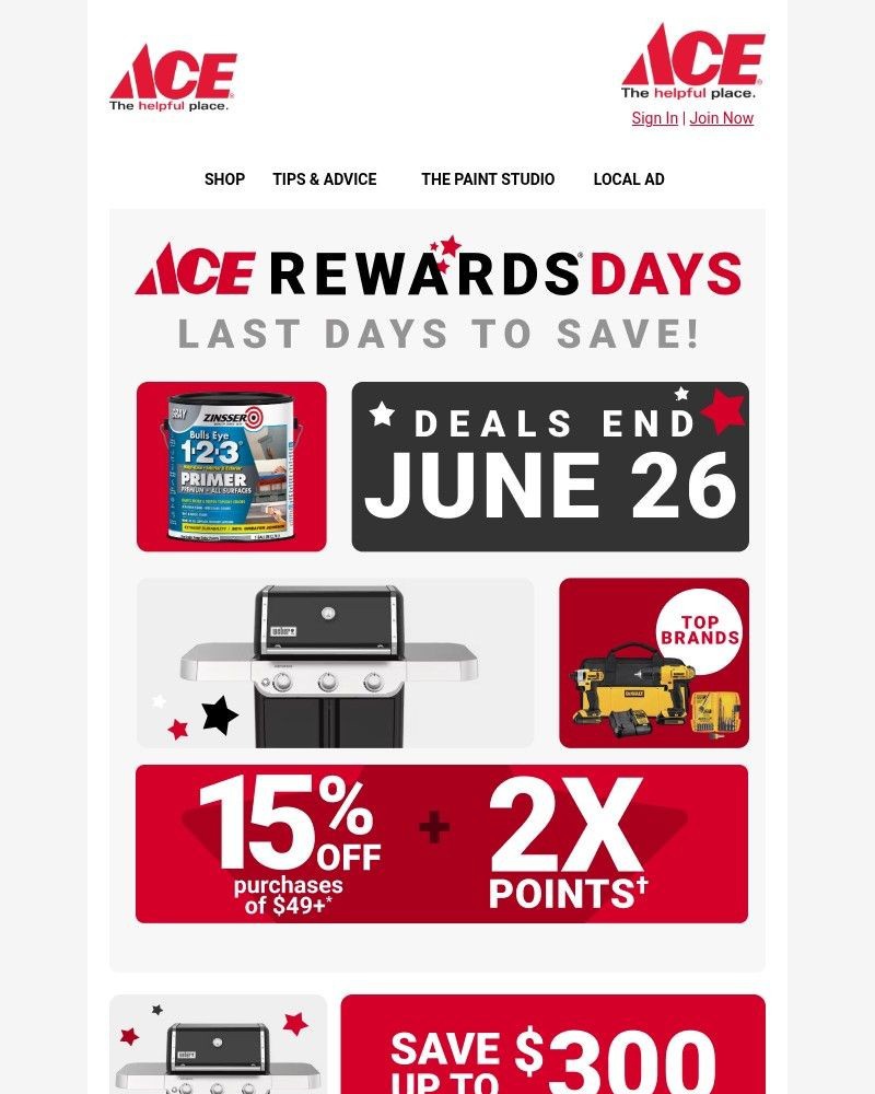 Screenshot of email sent to a Ace Hardware Newsletter subscriber