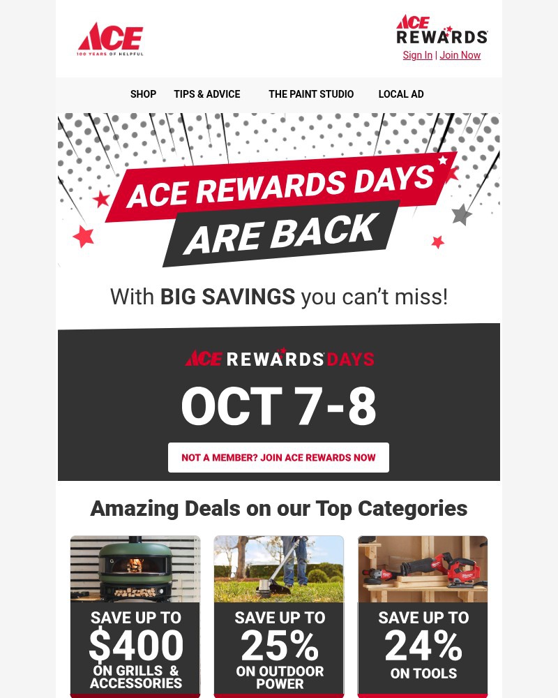 Screenshot of email with subject /media/emails/ace-rewards-days-is-here-952bc7-cropped-c1922c54.jpg