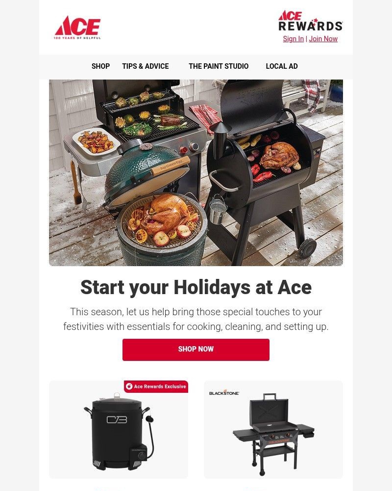 Screenshot of email with subject /media/emails/ace-your-thanksgiving-with-grilling-deals-fca88f-cropped-bfb057e8.jpg