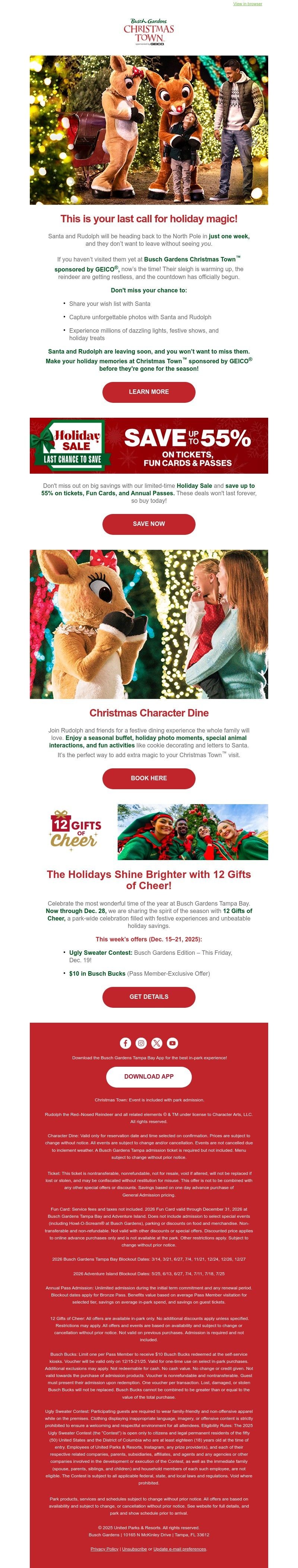 Screenshot of email with subject /media/emails/acee2f4e-2a07-414e-a565-81d724d97d8c.jpg