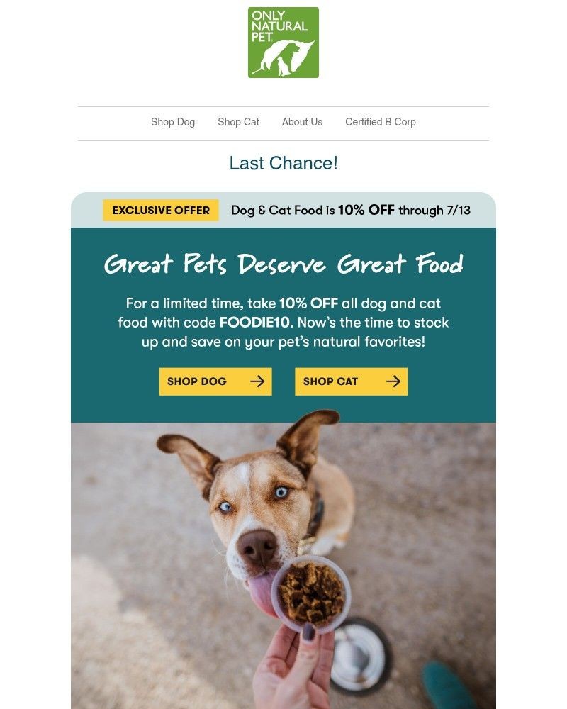 Screenshot of email sent to a Only Natural Pet Newsletter subscriber