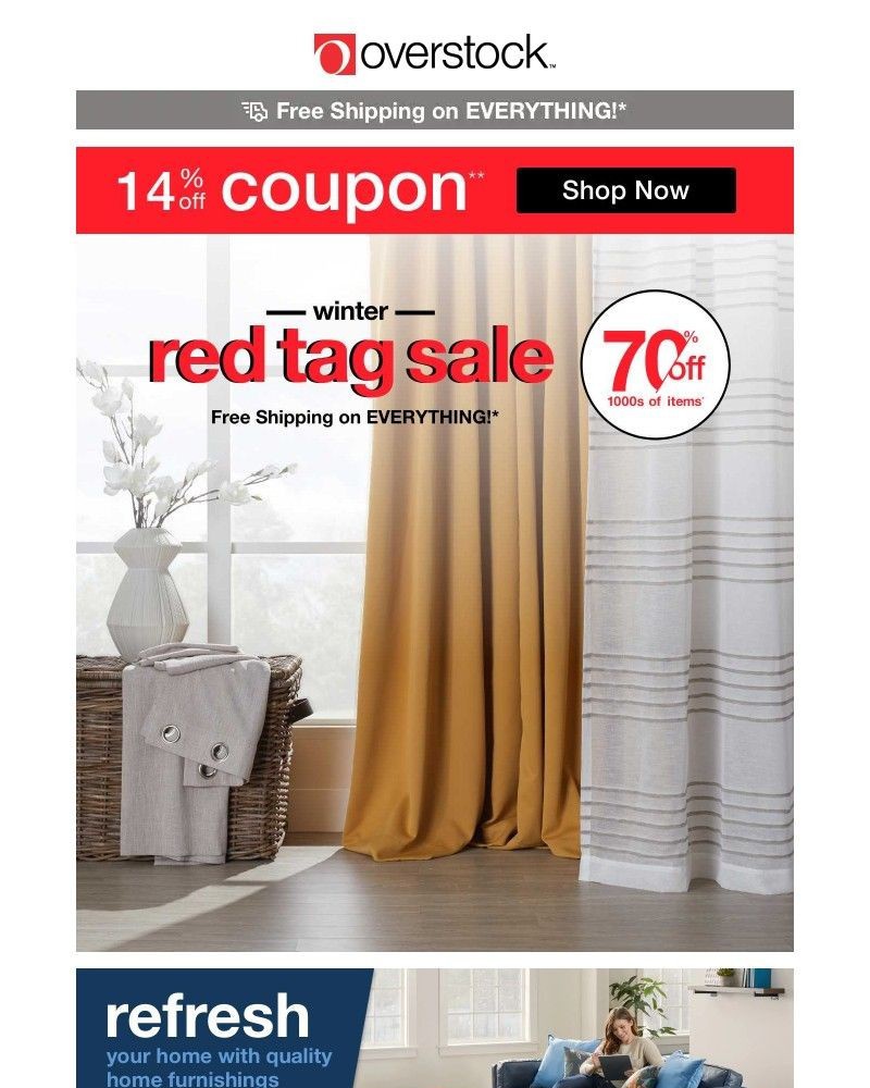 Screenshot of email with subject /media/emails/act-quickly-your-exclusive-14-off-coupon-expires-tonight-770525-cropped-03efd348.jpg