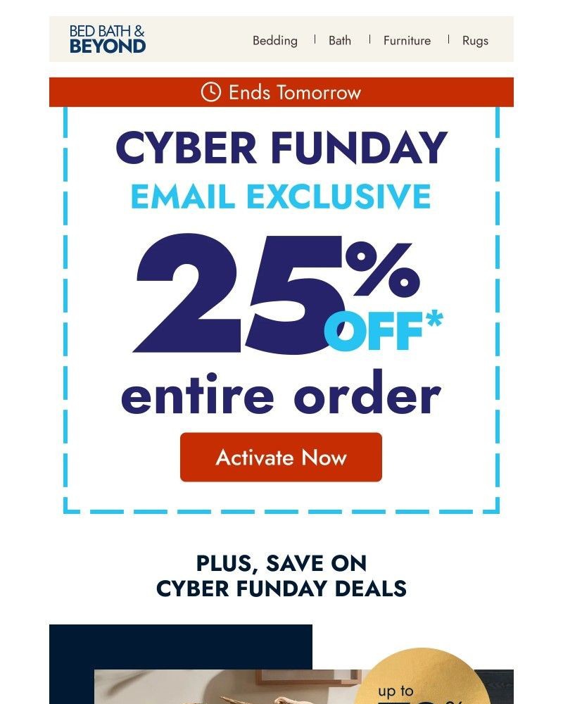 Screenshot of email sent to a Overstock Newsletter subscriber