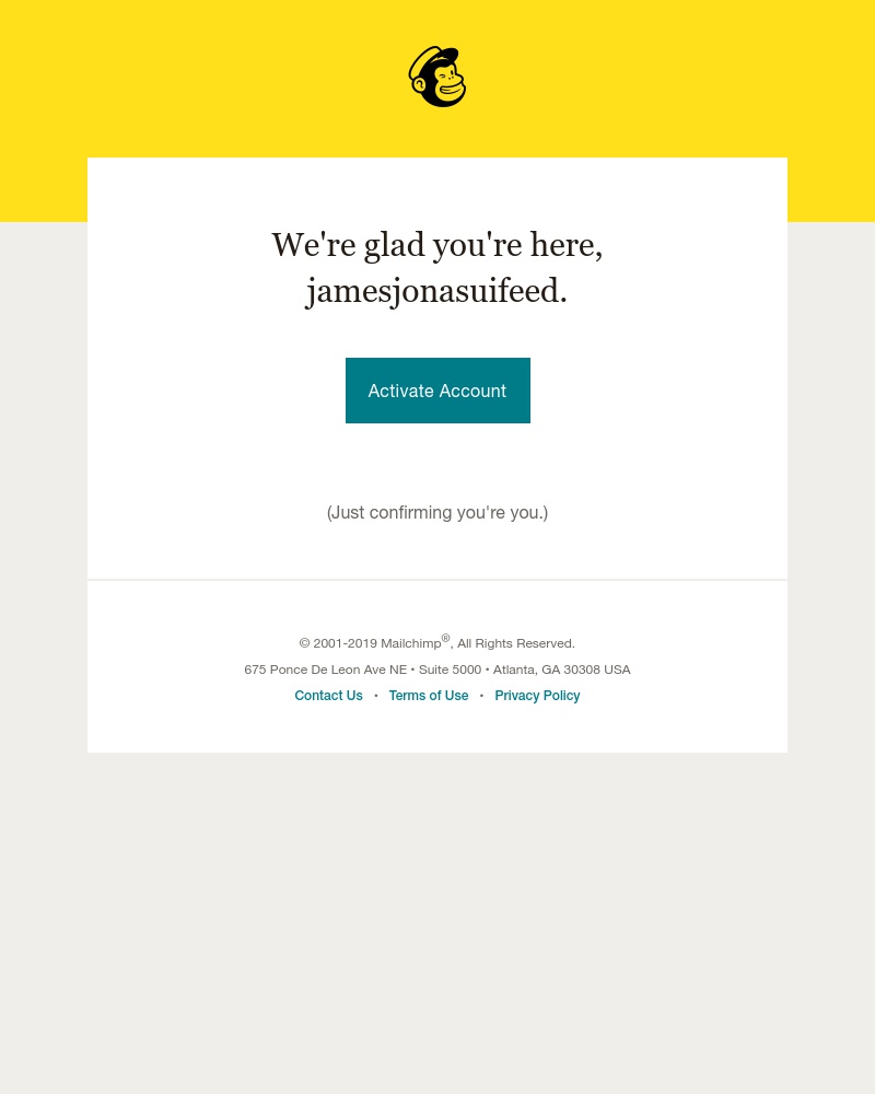 Screenshot of email sent to a Mailchimp Registered user